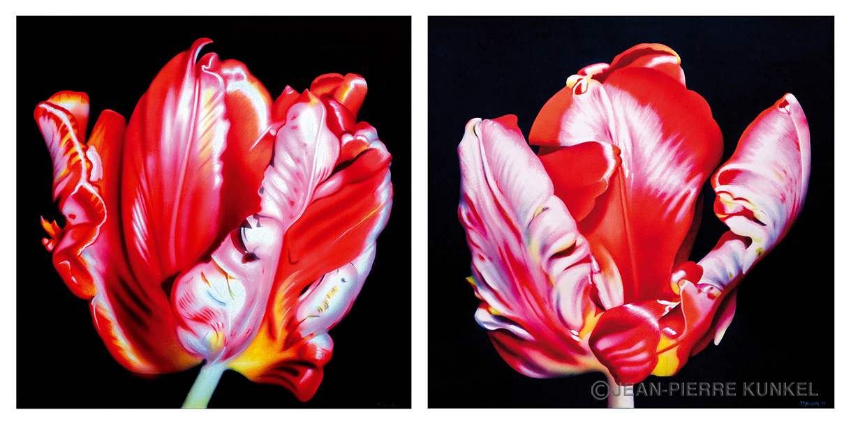 Papageientulpen, Diptychon Acryl/Airbrush auf Leinwand 2x 70x70cm